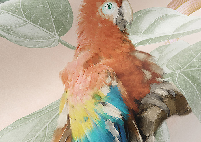 Parrot, Peach Ice - Made to Measure Curtain - Image 4
